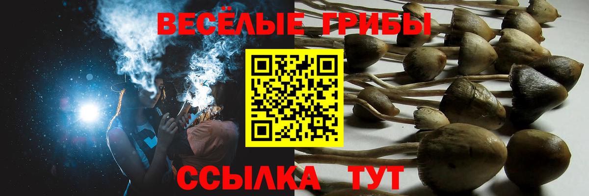 Галлюциногенные грибы ЛСД  Псилоцибиновые грибы мицелий  Скопин  Вход с VPN 